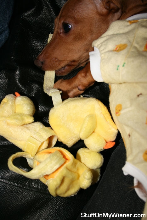 Cooper in his duck pajamas and slippers.