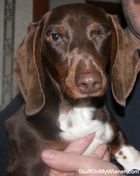 Dudley winks at the camera.