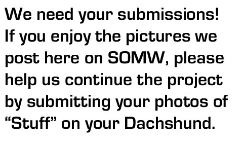 We need your submissions!