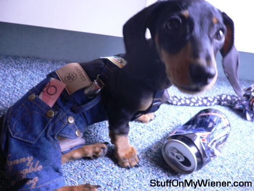 Wiener gets lunch money for his first day of school.