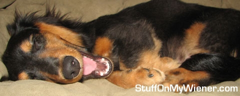 Barnabas laughs out loud.