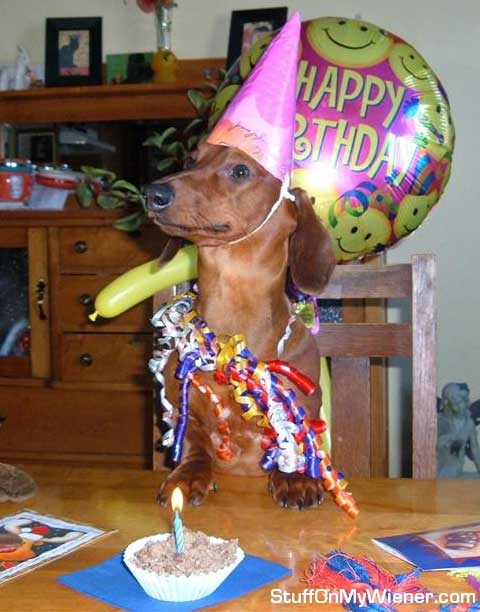 Ceaser’s first birthday.