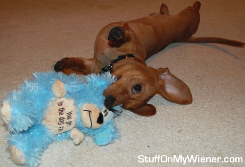 Duncan catching the toy escapee the hard way.