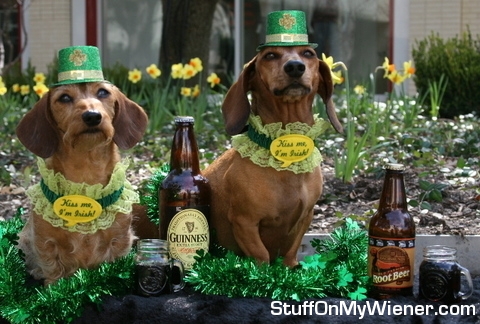 chloeilsastpatricksday