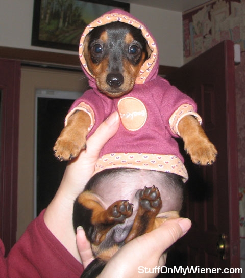 Jasper in a hooded jacket.