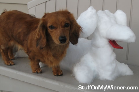 Maddie captures the elusive snowwiener.