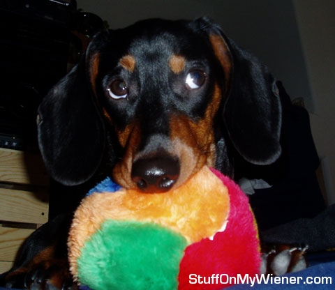 Miles with his pacifier.