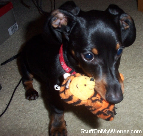 prince charming tigger