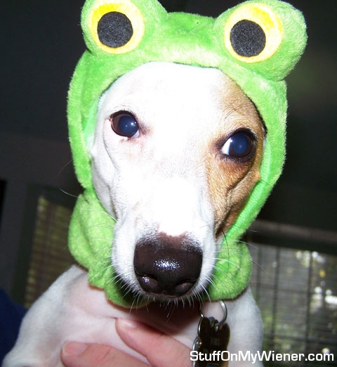 Toby the frog prince.
