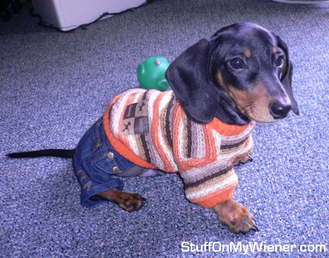 Wiener in his new outfit.