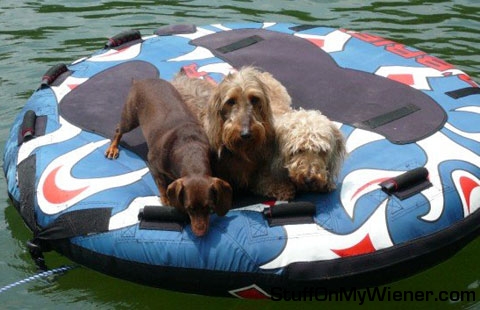 3 wieners in water