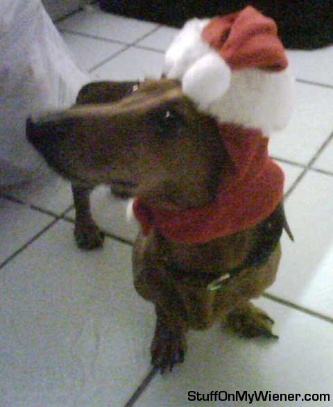 Elvis as Santa’s helper.