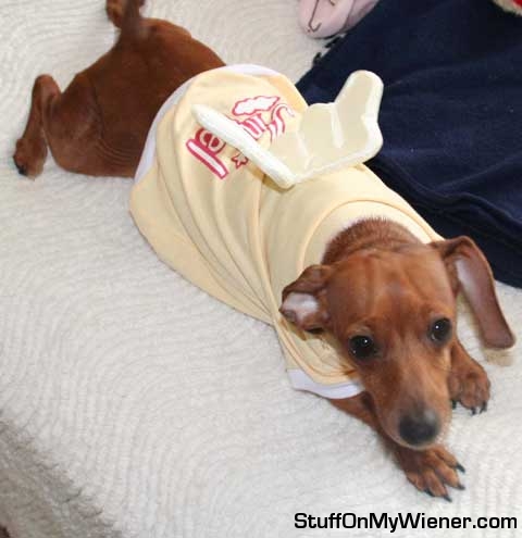 Gucci Bella in an angel shirt.