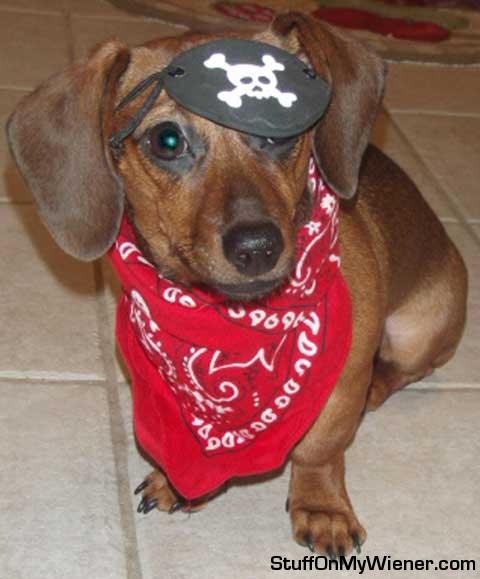 Kiki in pirate outfit.