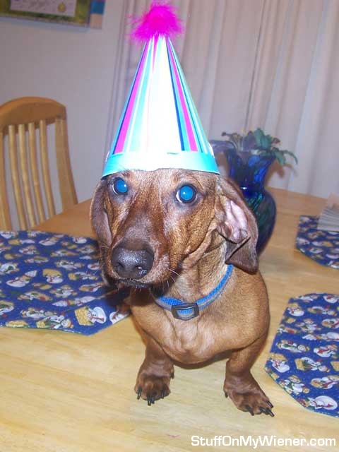 Oliver in a birthday hat.