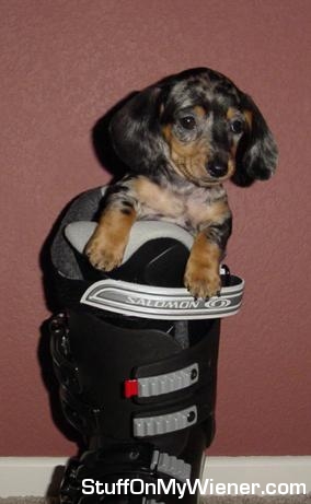 Penny in a boot.