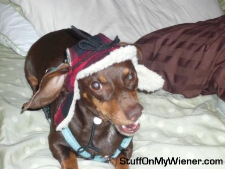 Penny in hunter hat.