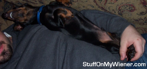 Prince charming sleeping on dad.