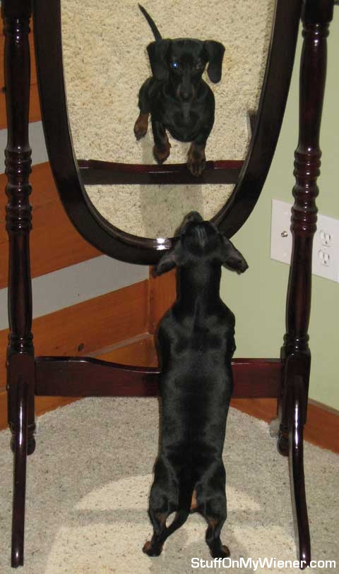 Abbi admires herself in the mirror.