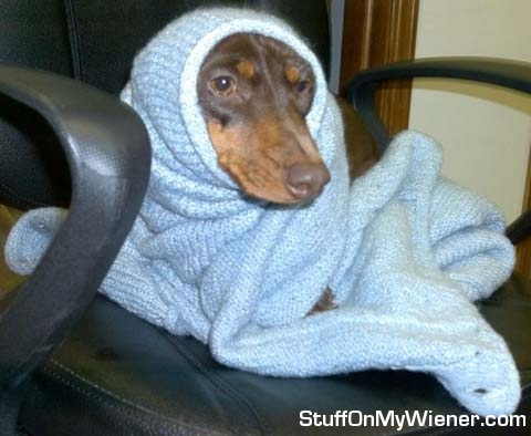 Kirby with a blanket, complaining of being too cold.