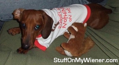 Kurtzenbeine and his favorite toy on the couch.