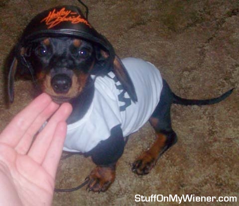 Little man and his first Harley.