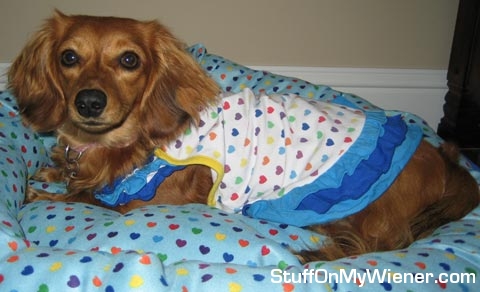 Maddie in her heart covered dress and bed.