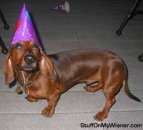Nathan in a birthday hat.