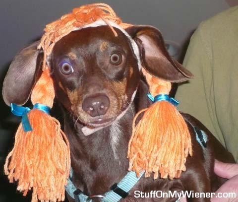 Penny in an orange wig.