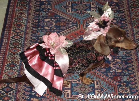 Sadie in her formal wear.