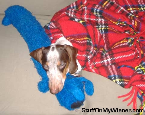 Yocco sleeping with Bobo.