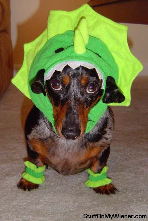 Abbey in a dinosaur costume.