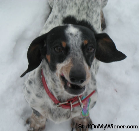 Carly complaining about the snow.