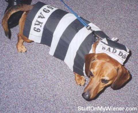 Gadget in a convict costume.