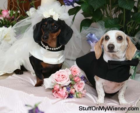 Mocha and Levi wedding.