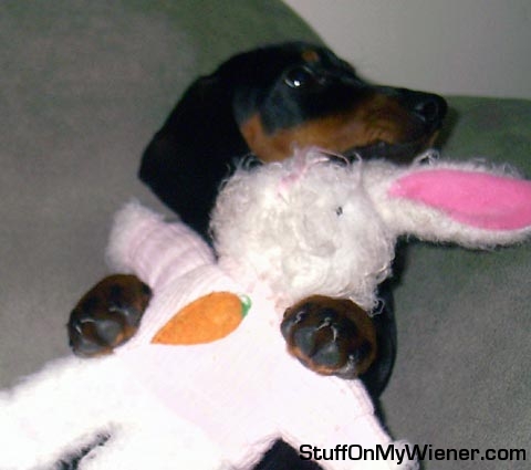 Oscar and his favorite bunny.