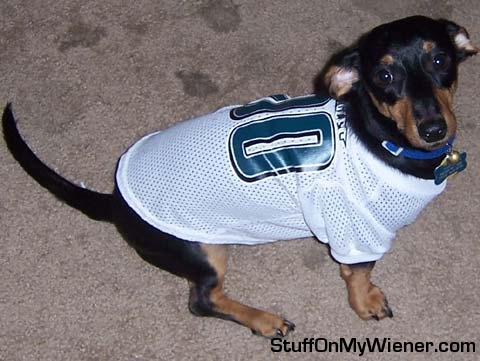 Sawyer in an Eagles jersey.