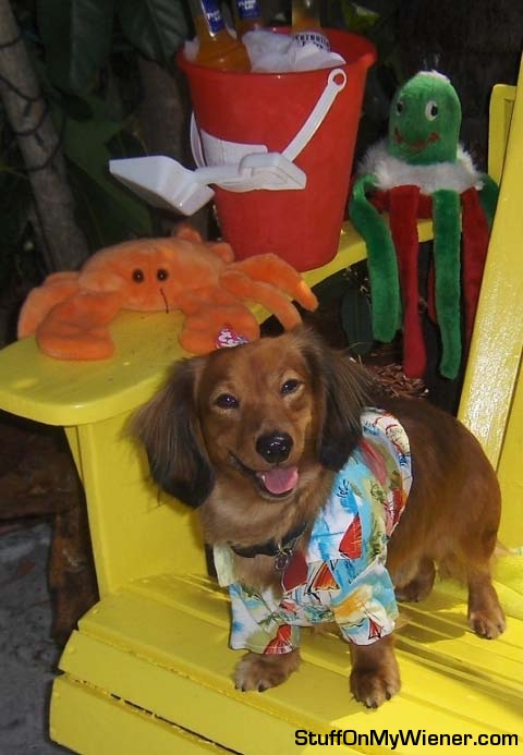 Schatzenheimer in his beach outfit.