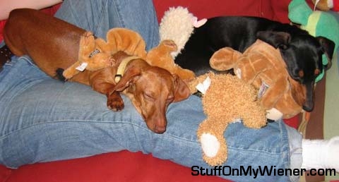 Abby and Zoe asleep on mom’s lap with toys.