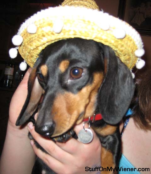 Babette tries to spice it up with a sombrero.