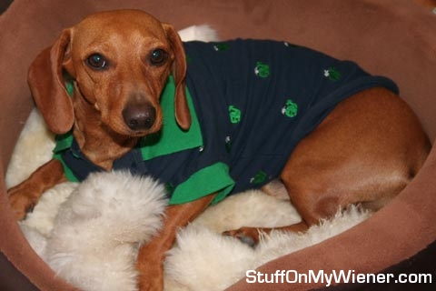 Charlie in his polo shirt.