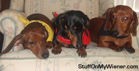 Duncan, Betty and Keebler