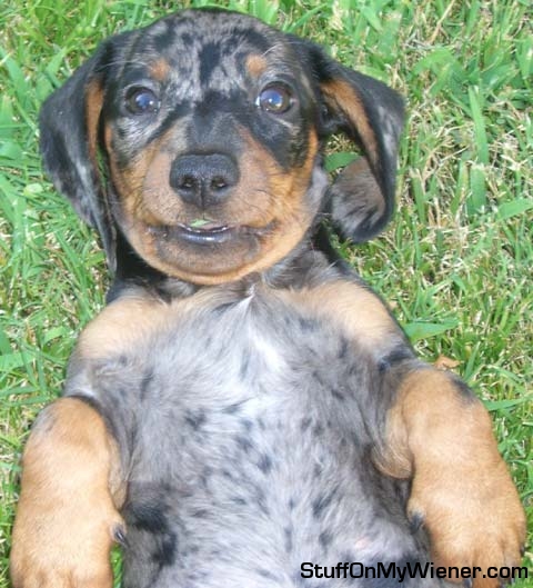 Jerry smiling for the camera.