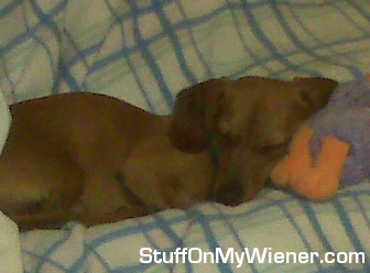 Oscar sleeping with duckie.