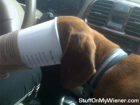 Oscar head in coffee cup.