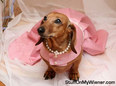 Pepper in her bridesmaid dress.