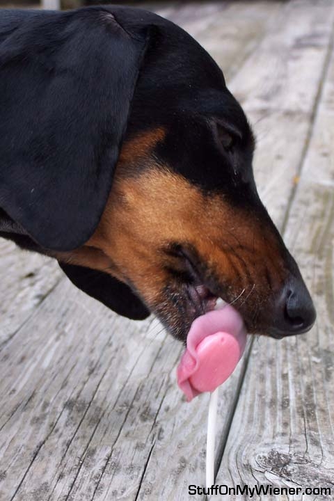 Whitney and a lolipop.