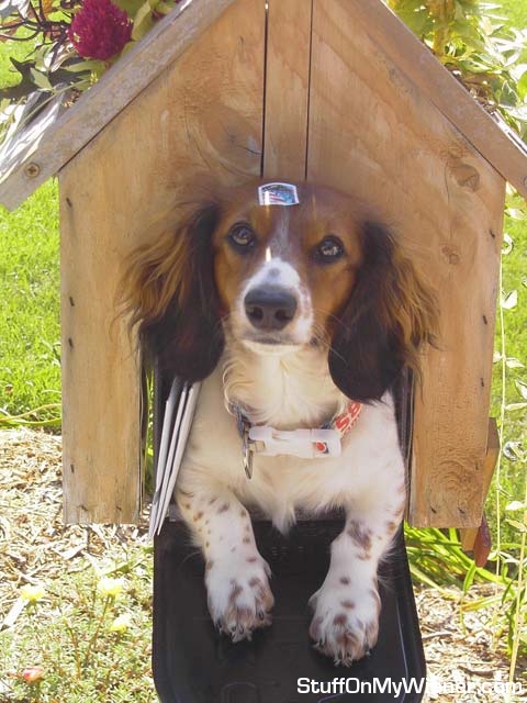 Wrigley mails himself to camp.