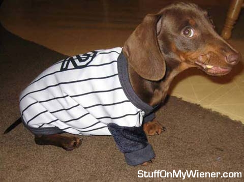Rolo in a baseball jersey.