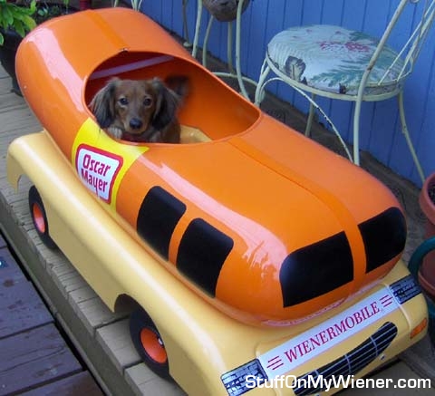 Schatzi in his Wienermobile